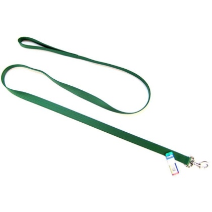 Coastal Pet Single Nylon Lead - Hunter Green - 6' Long x 1