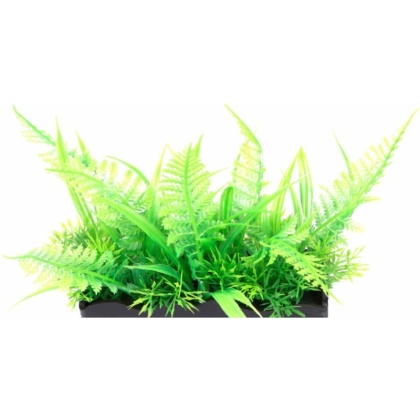 Penn Plax Ostrich Fern Bunch Plant 2" - 1 count