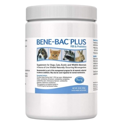 PetAg Bene-Bac Plus Pet Powder - 1 lb