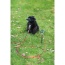 Prevue Pet Products 24 Inch Tie-out Dome Stake with 12 Foot Cable